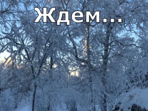 Ежовая ждём потепления